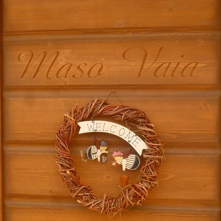 Maso Vaia Bed and Breakfast Cavalese Eksteriør billede